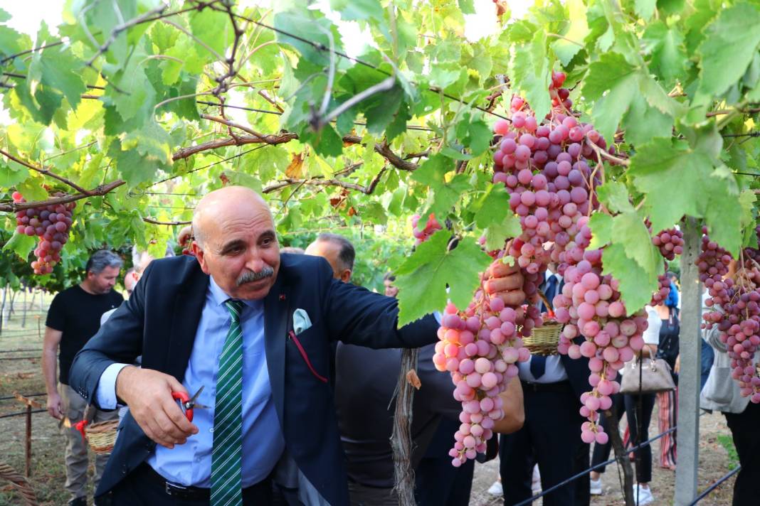 Tarım kentinde bağ bozumu böyle başladı: Muhteşem fotoğraflara konu oldu 1